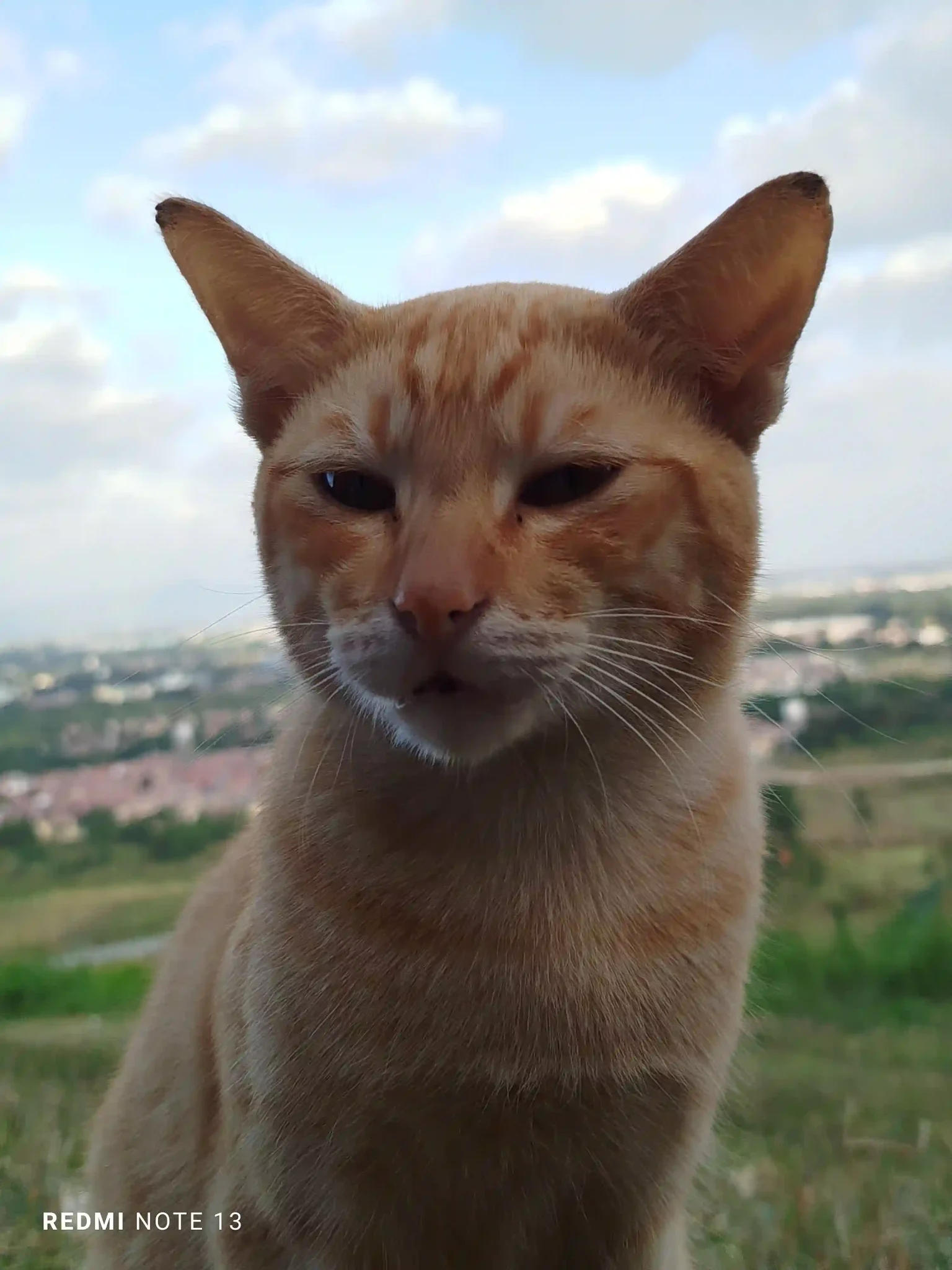 Redmi Note 13 Rear Camera - Normal Mode(4)