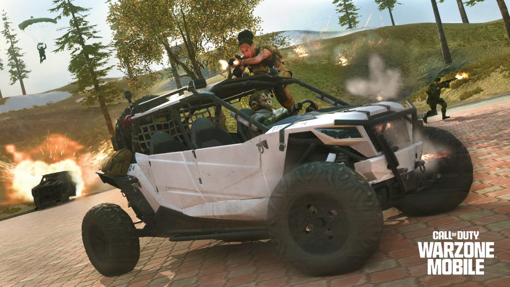 WZM Controls and Customizations