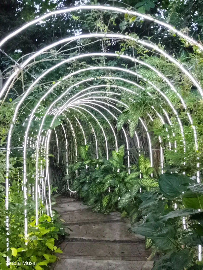 nubia Music Rear Camera - Normal mode