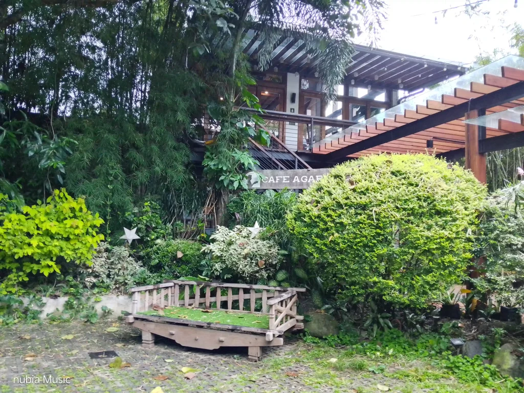 nubia Music Rear Camera - Normal mode (5)