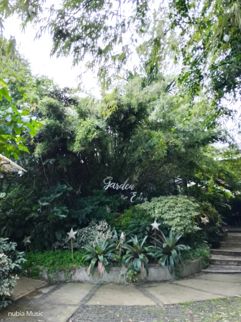 nubia Music Rear Camera - Normal mode (6)