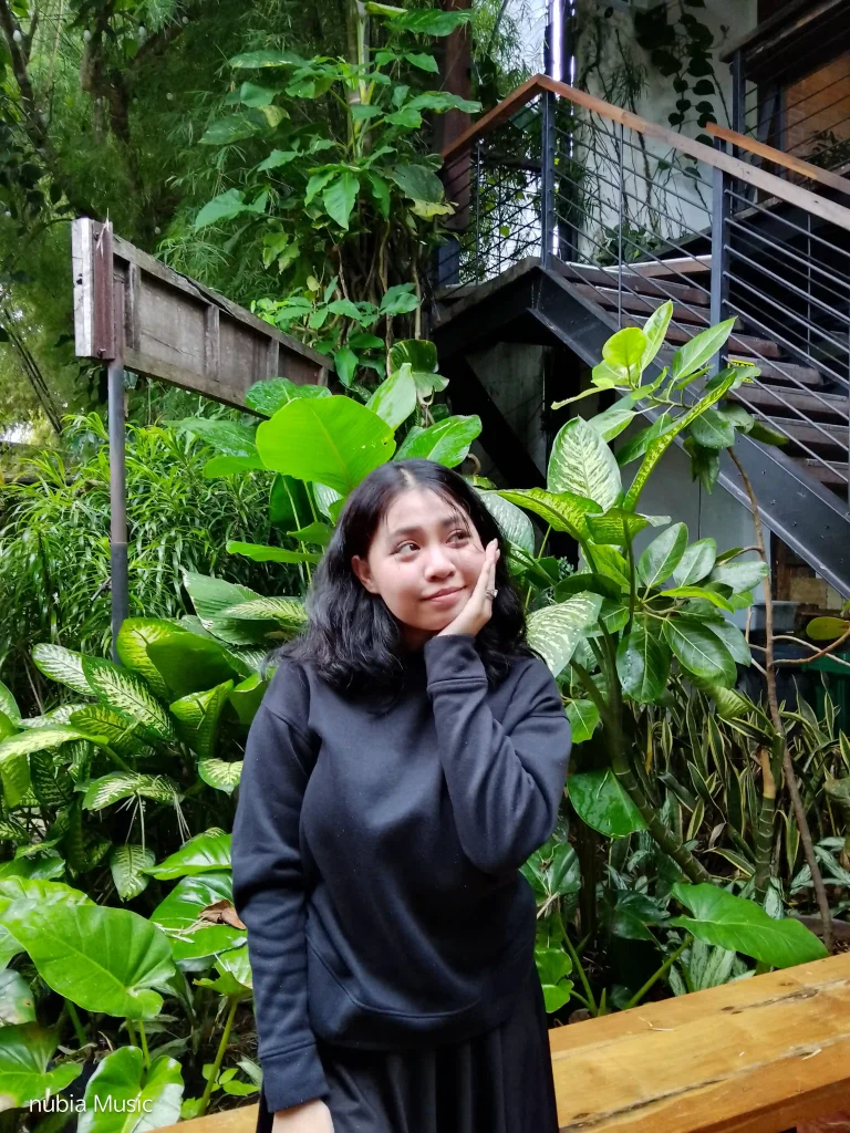 Rear Camera - Normal mode