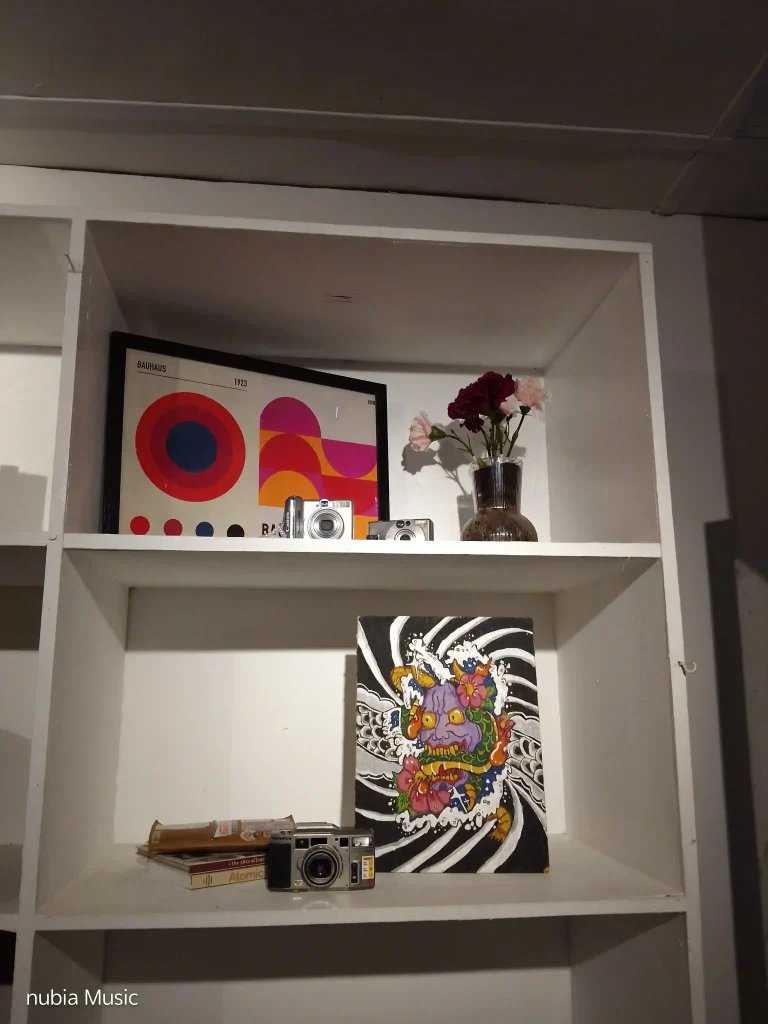 nubia Music Rear Camera - Normal mode