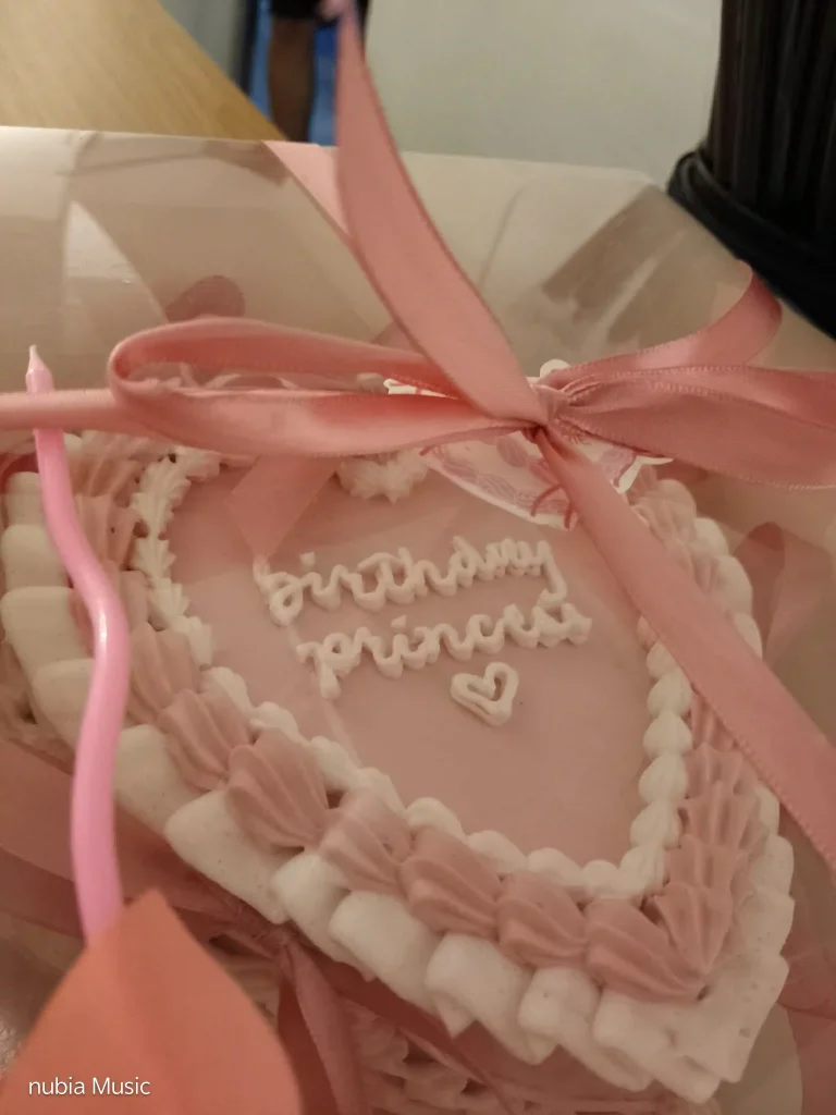 nubia Music Rear Camera - Normal mode (Food) (1)