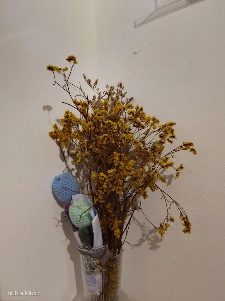 nubia Music Rear Camera - Normal mode (Low-light)