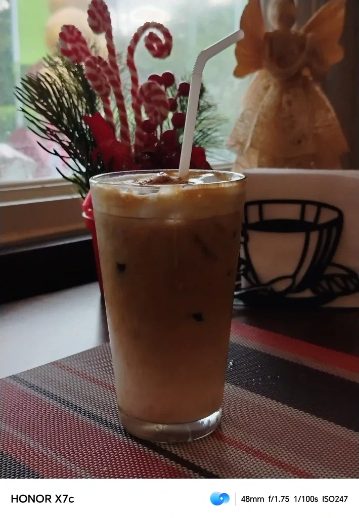 HONOR X7c Rear Camera - Normal Mode (Food)(1)