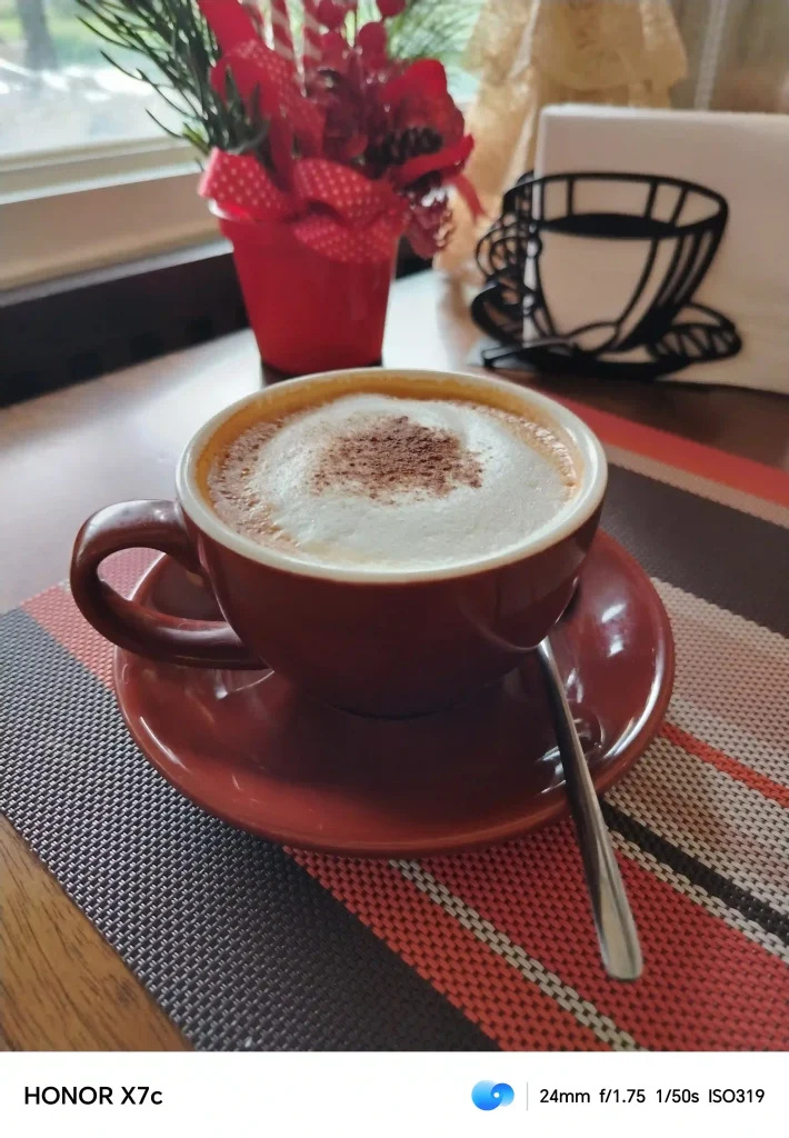 HONOR X7c Rear Camera - Normal Mode (Food)(3)