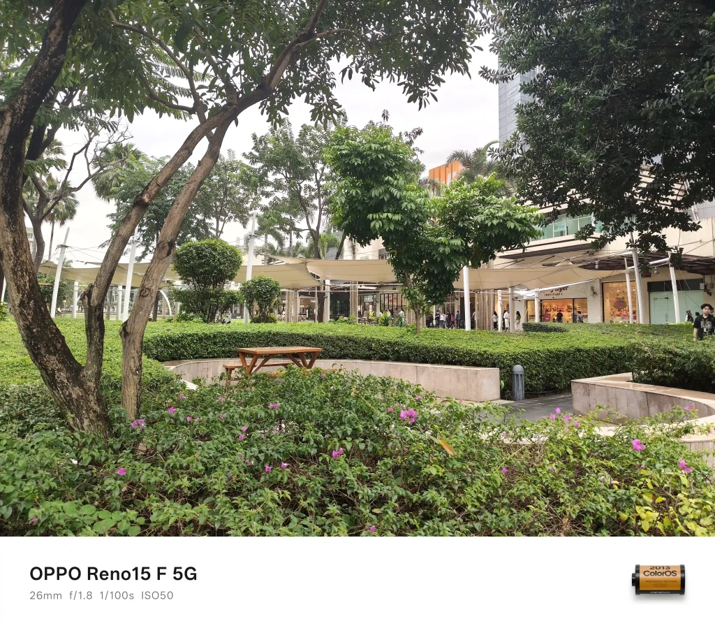 OPPO Reno15 F 5G Rear Camera - Normal Mode - 1x Zoom (3)