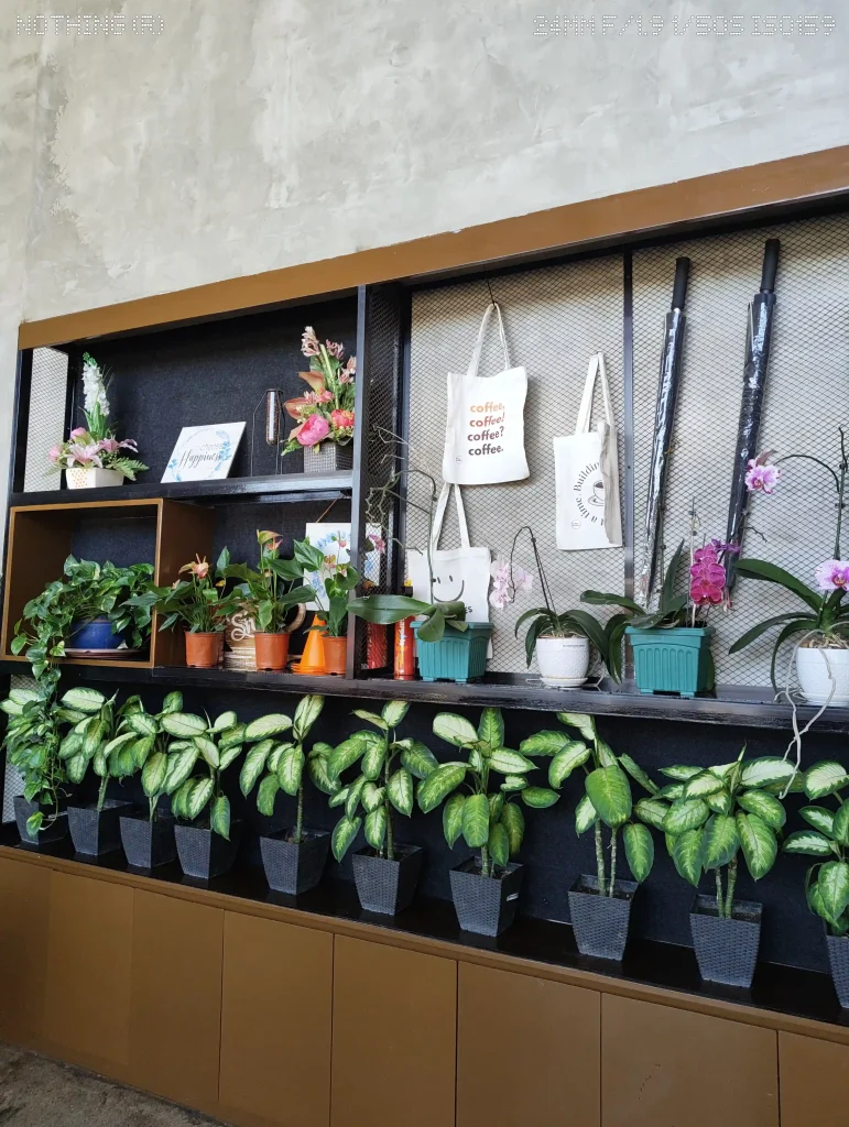 Nothing Phone (4a) Rear Camera - Normal Mode (8)