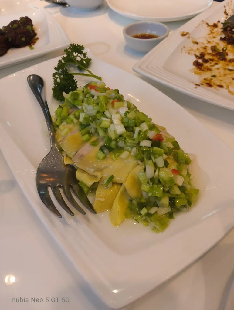 nubia Neo 5 GT rear camera1