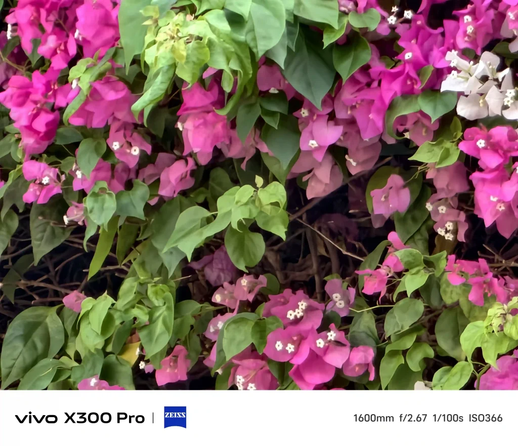 vivo X300 Pro Photography kit Normal Mode2