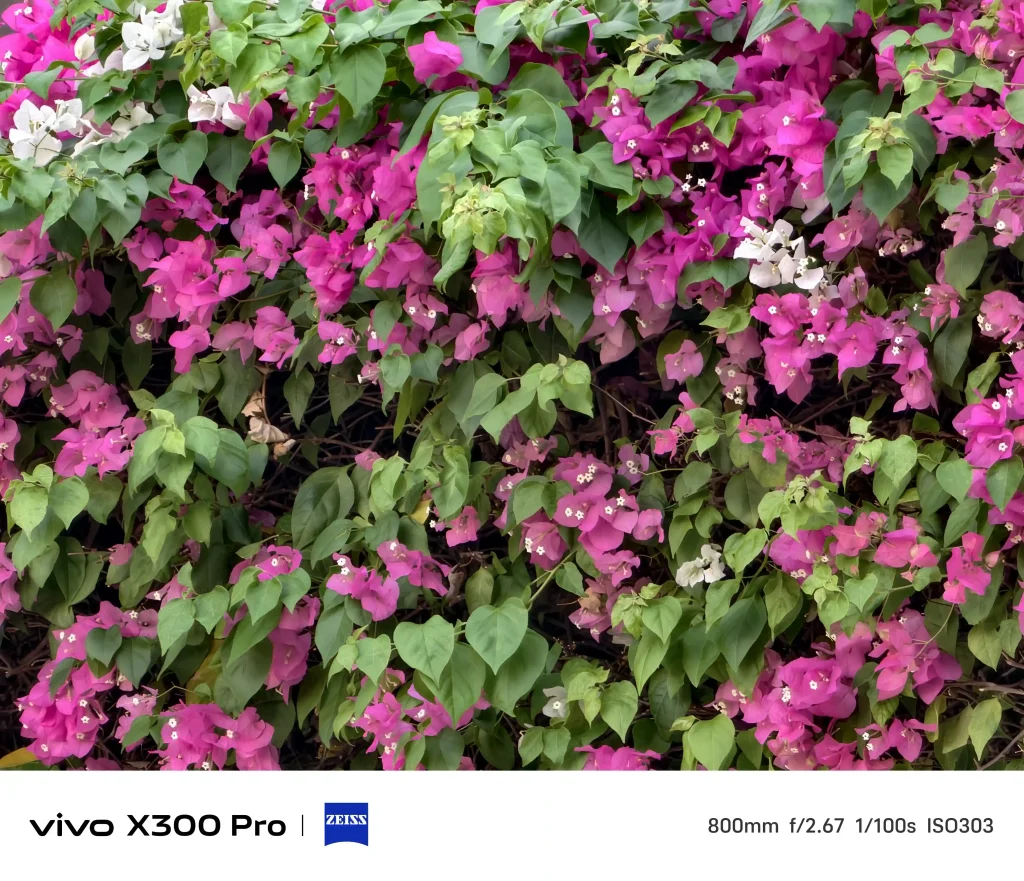 vivo X300 Pro Photography kit Normal Mode3