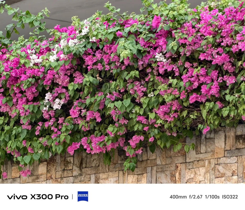 vivo X300 Pro Photography kit Normal Mode4