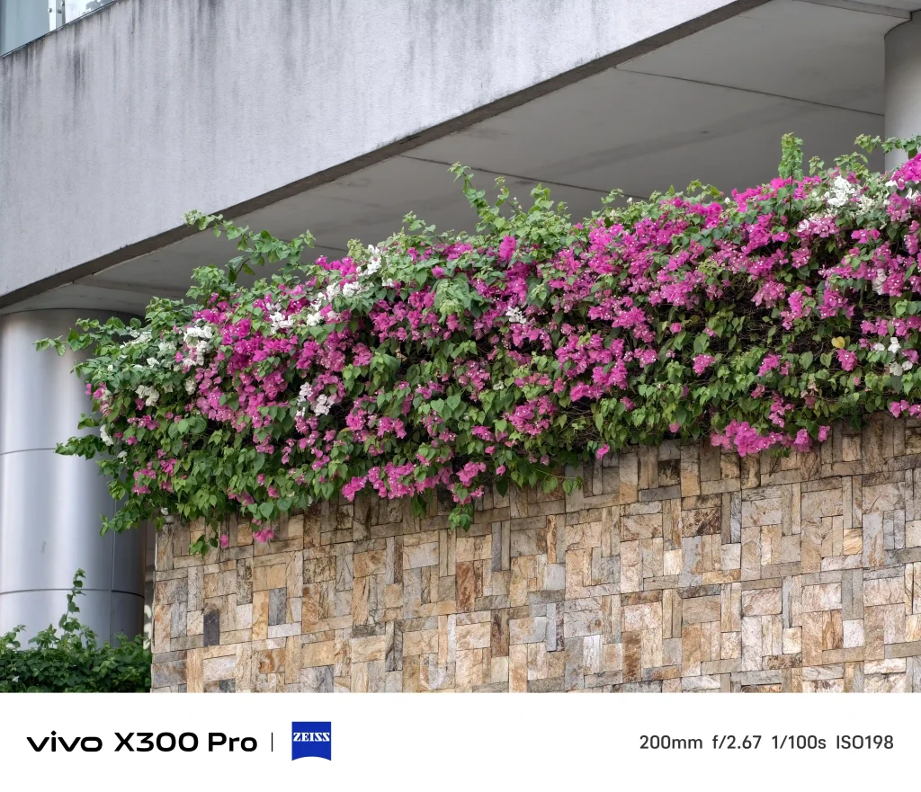 vivo X300 Pro Photography kit Normal Mode5