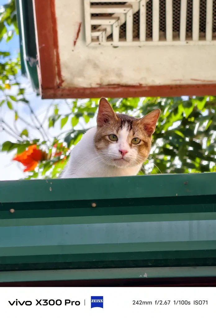 vivo X300 Pro Photography kit Normal Mode6